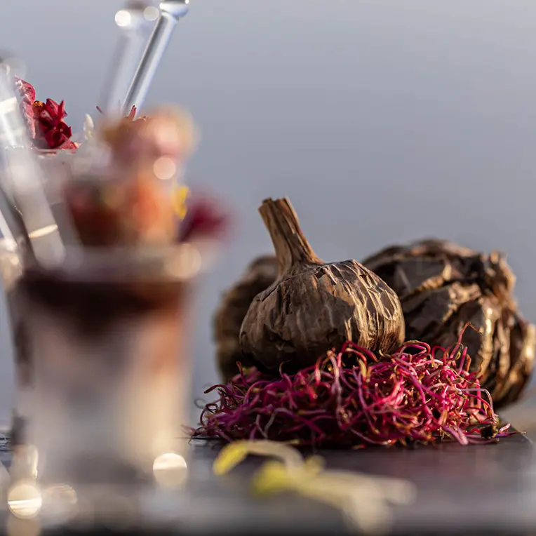 Recettes-chantdail-valeurs